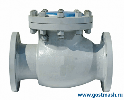 Клапан обатный 19С53НЖ